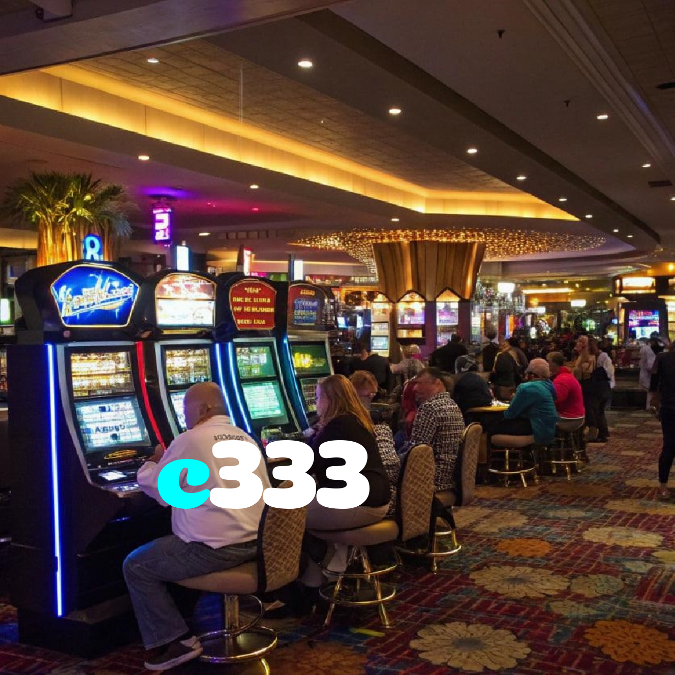 c333