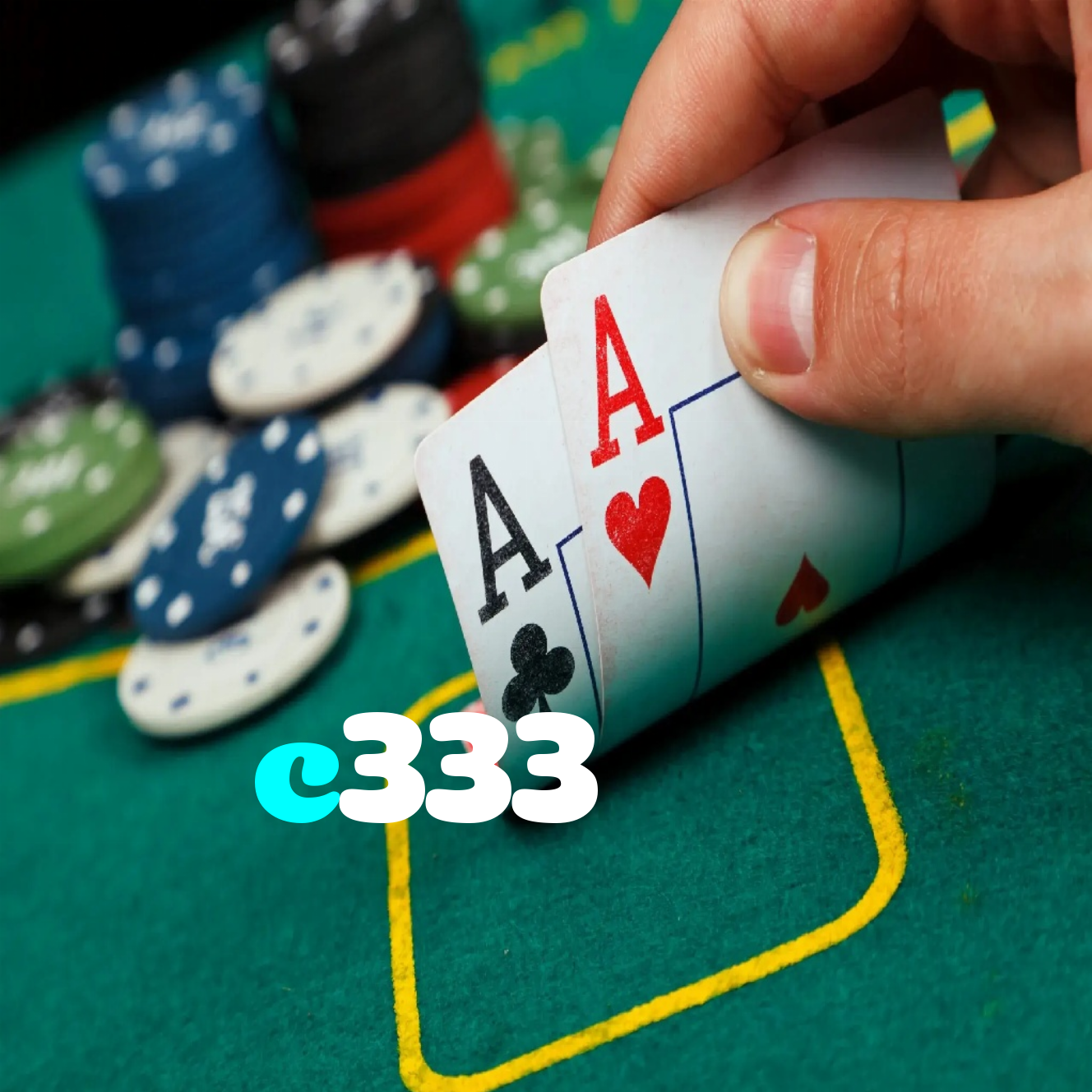 c333