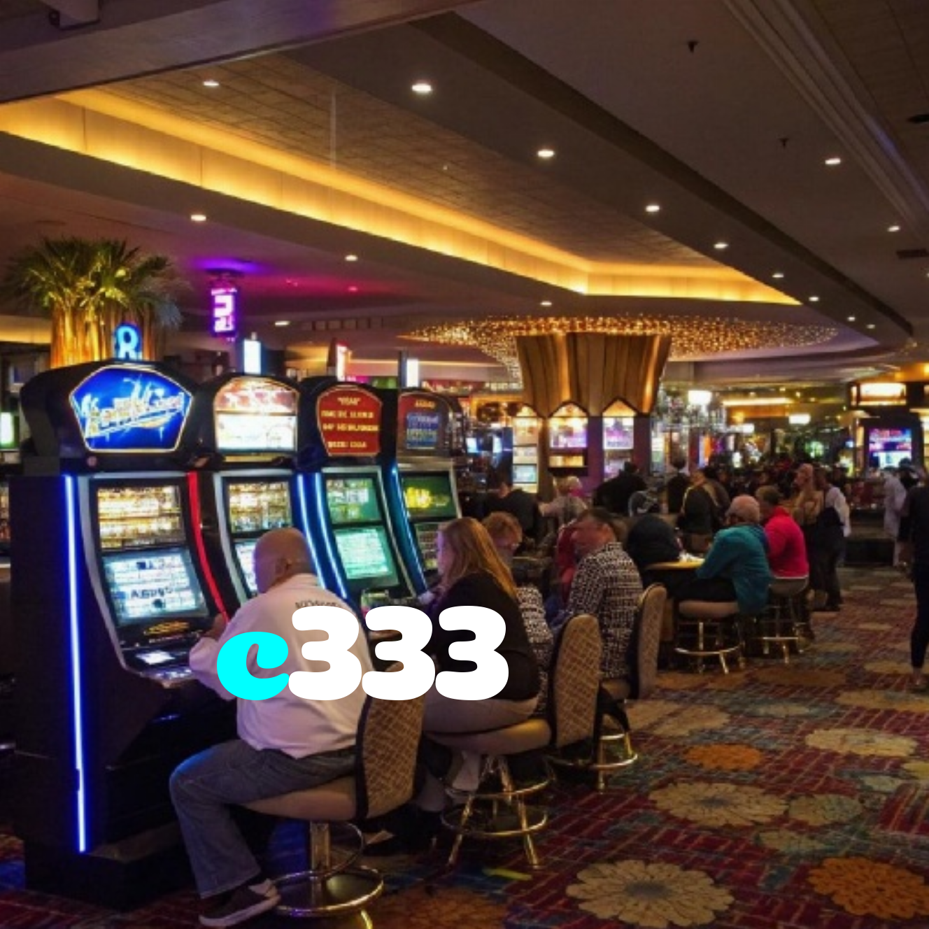 c333