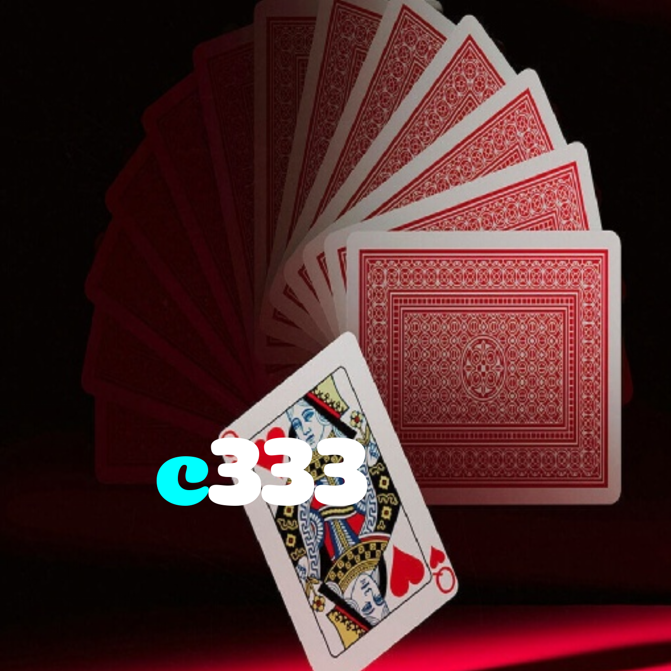 c333