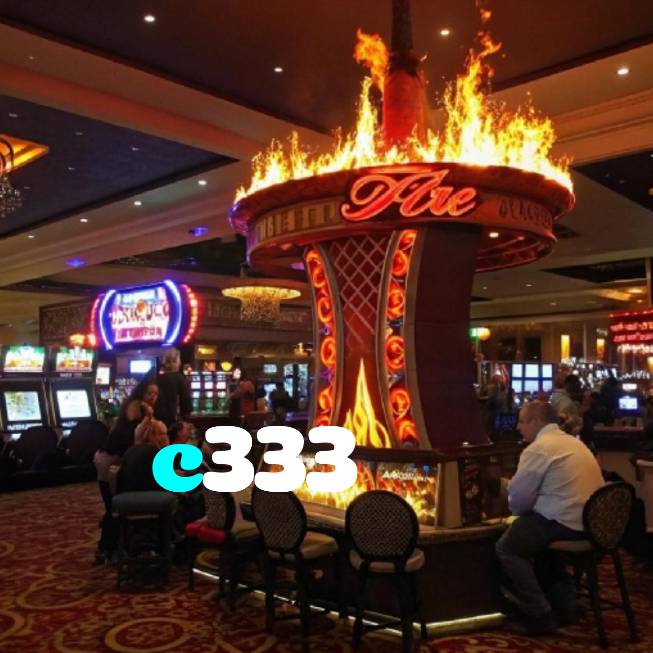 c333