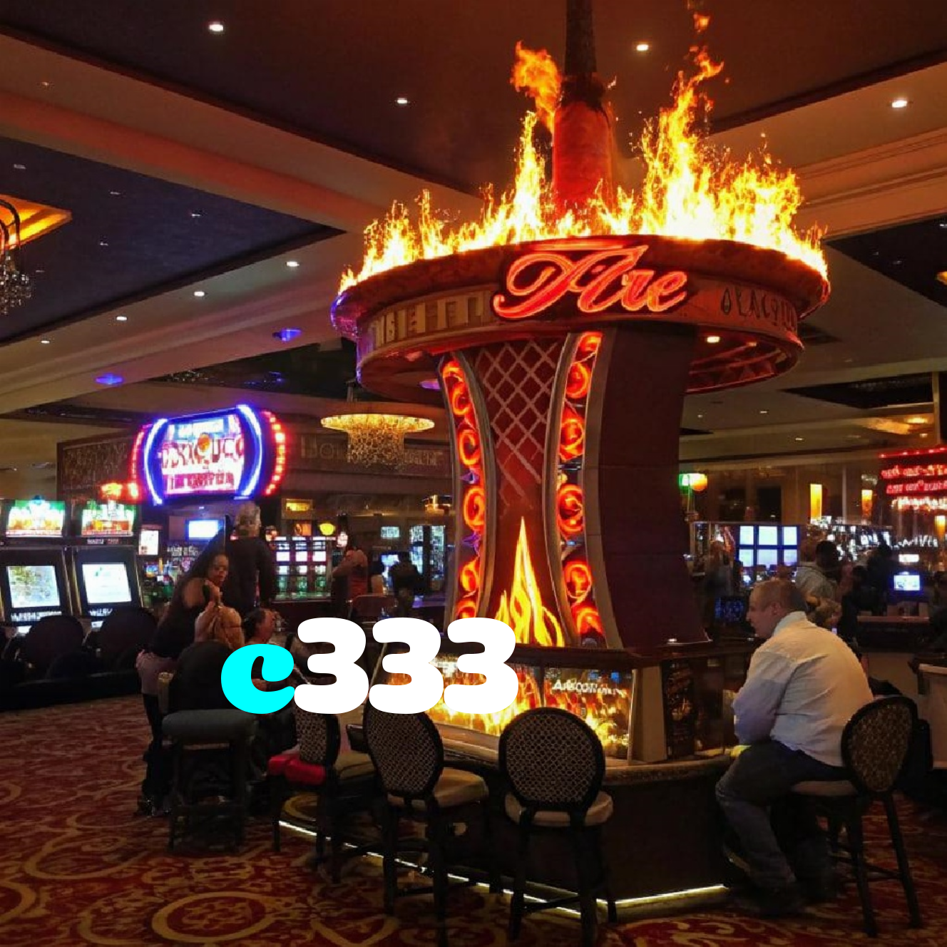 c333