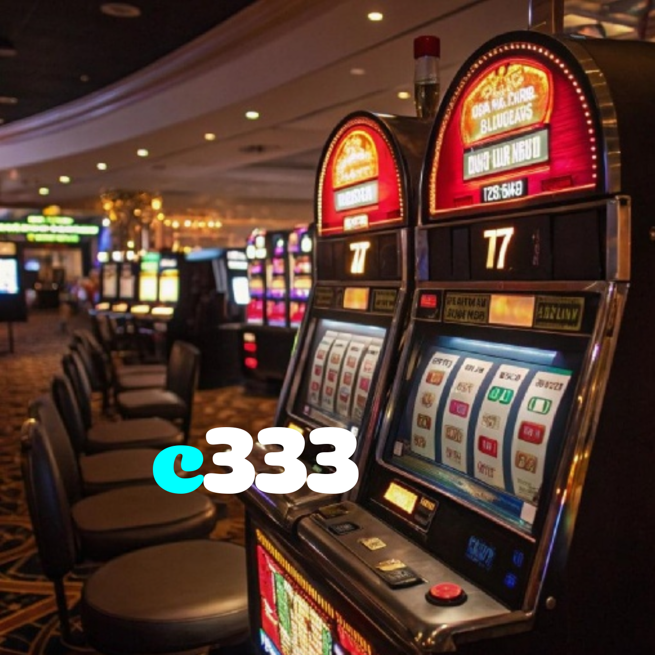 c333