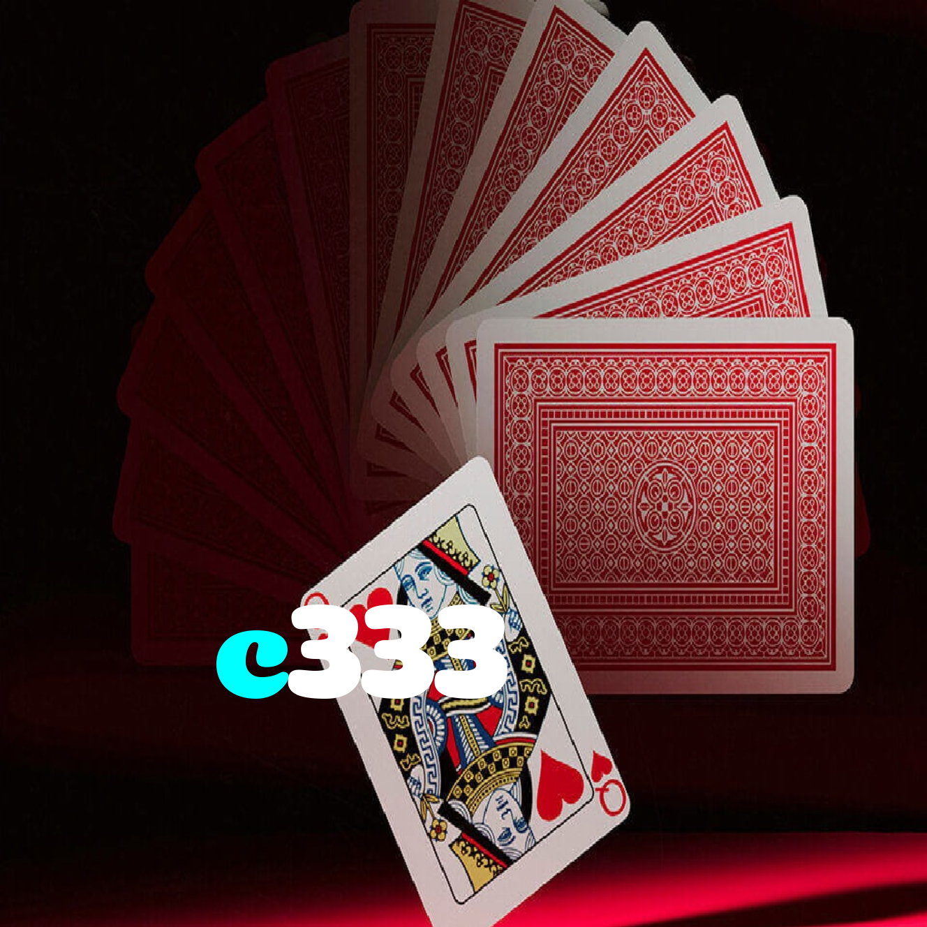 c333